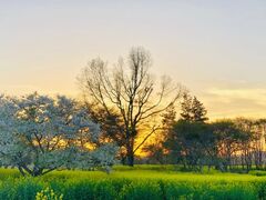 ��v�썂���̎ʐ^1