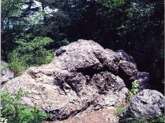 龍門山の蛇紋岩（磁石岩）の写真1