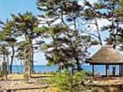 日本海と松のコントラストが美しい安宅の関_勧進帳のふる里安宅の関