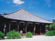 �������̔��̎ʐ^1