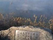 �L�I���t�̔�̎ʐ^1