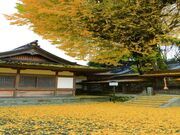 �O���_�Ђ̃C�`���E�̎ʐ^1