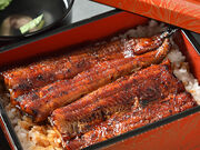 �� �����c ���ےʂ�X�̎ʐ^1