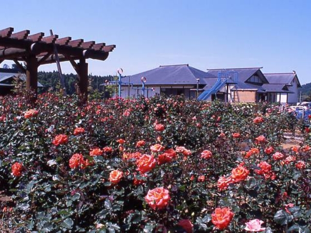 �ܕ􉑂̃o�����̎ʐ^1