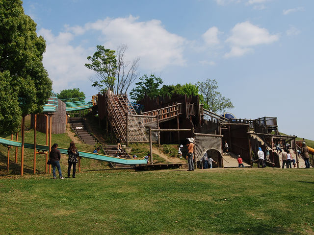 �R���s���Y�H�|�� ���񂸂̋u