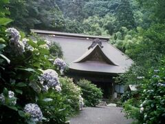 ����Ɏ��̃c�o�L�̎ʐ^1