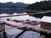 �W�����{�t�B�b�V���O���̎ʐ^1