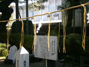 p_̏i_Ђ̂ނ_̏j̎ʐ^1