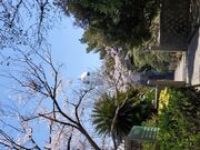 �P������̍��̎ʐ^1