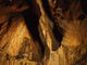 滝観洞の写真3