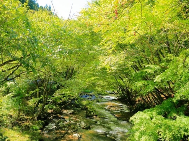 �V�΂̋���_����