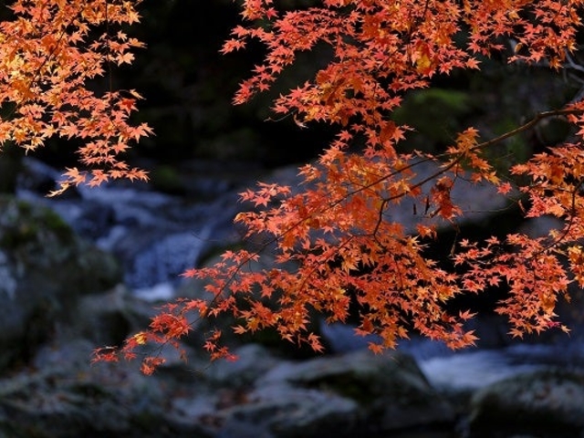 ����̍g�t_����