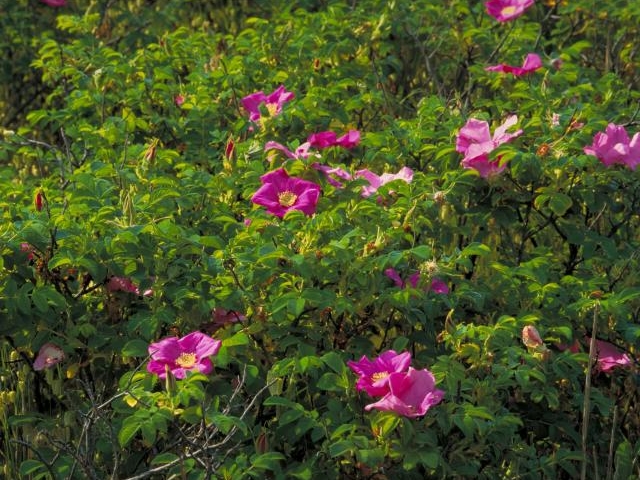 �n�}�i�X��������n��