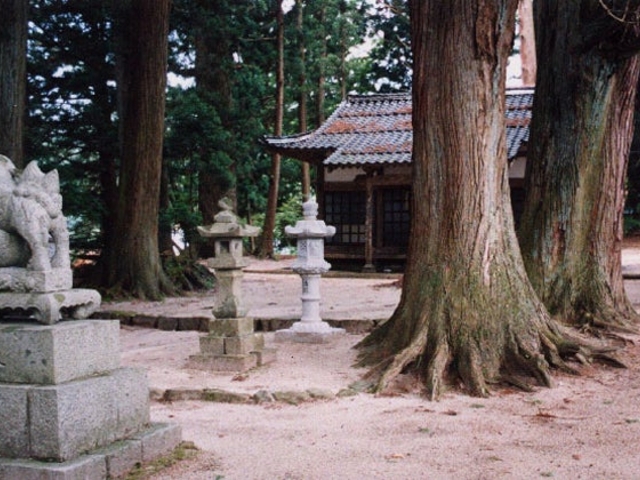 �㓒��̔����_�ЎБp�̎ʐ^1