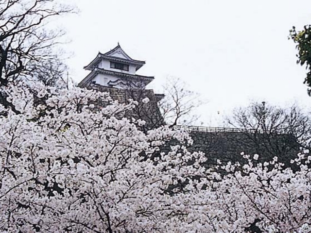 �T�R�����̍�