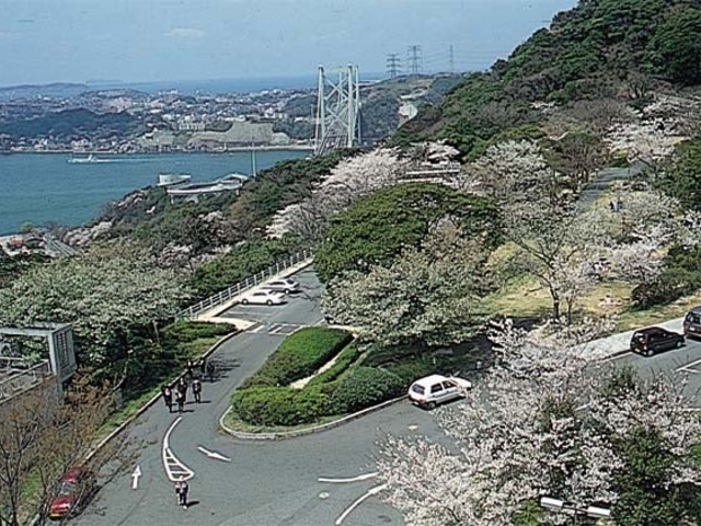 �߂�������̍�_�߂�������̍�