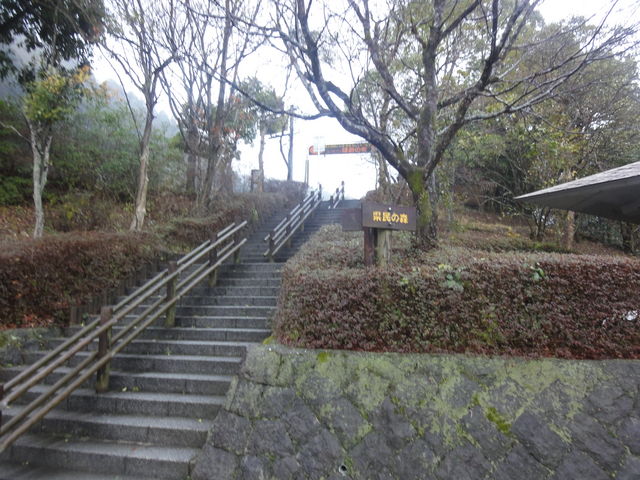 �Q�P���I�����̐X