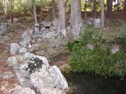 ���̐����̎ʐ^1