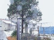 �o�̓��c�_�̎ʐ^2