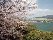 ���ˌ����^������̎ʐ^1