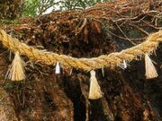 �n���ω��̓�̎ʐ^1