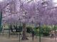 Zg_Ђ̃tW̎ʐ^2