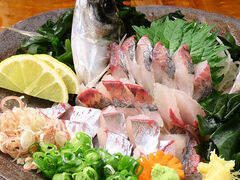 �Ђ傤���� ���R�̎ʐ^1