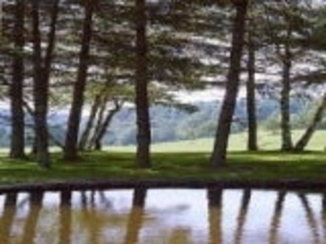 �z�K�΃J���g���[�N���u�̎ʐ^1