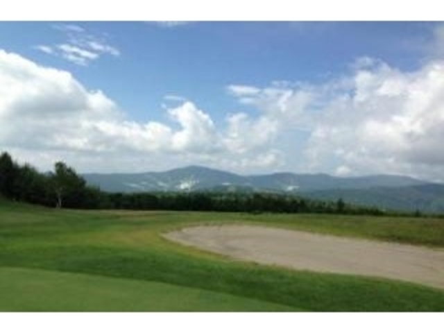 �����O���[���S���t�̎ʐ^1