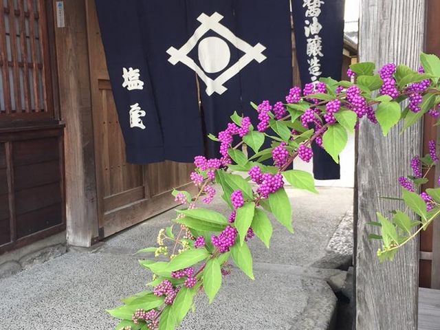 (�L)��������