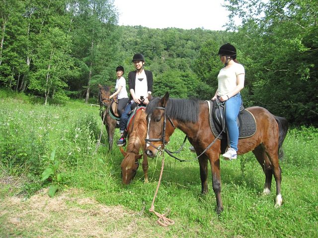 �V�牷���ԎR��