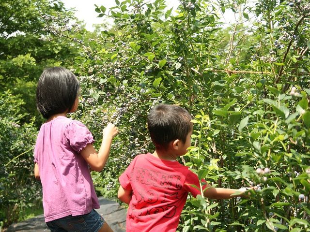 ���q�l�ł����S���Ă��y���݂��������܂��B
�H�ו���ł͂���܂��񂪁A���������Ȃ��炨�E�ݎ�肢�������܂��B_���n�[�x�X�g�_��