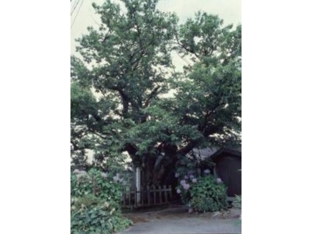 長野 伊那きのこ王国 アクセス 営業時間 料金情報 じゃらんnet