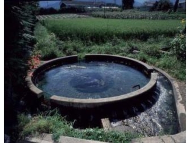 ��q�Đ��_�Ɖ��O�Y�̈�̎ʐ^1