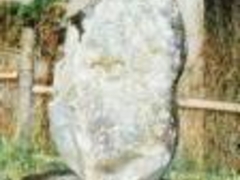 mN̔̎ʐ^1