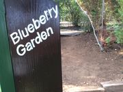 ���n�[�x�X�g�_��̎ʐ^1