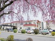 �z�����򂱂���̎ʐ^2