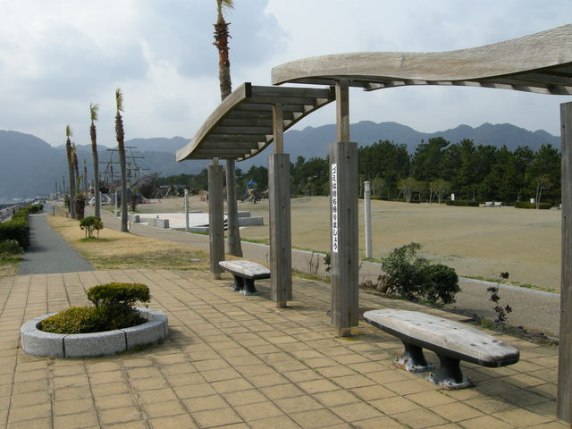 �L��C�݌���