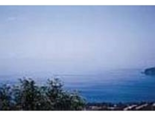 �܂��ɐS�������悤�Ȕ��̕�����̒���_�R�o���g���C��