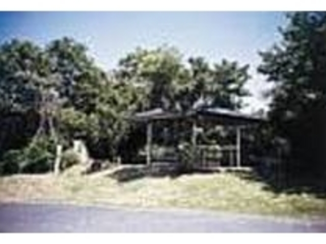 �x�e��������̂ŁA�̂�т肵�悤_�R�o���g���C��