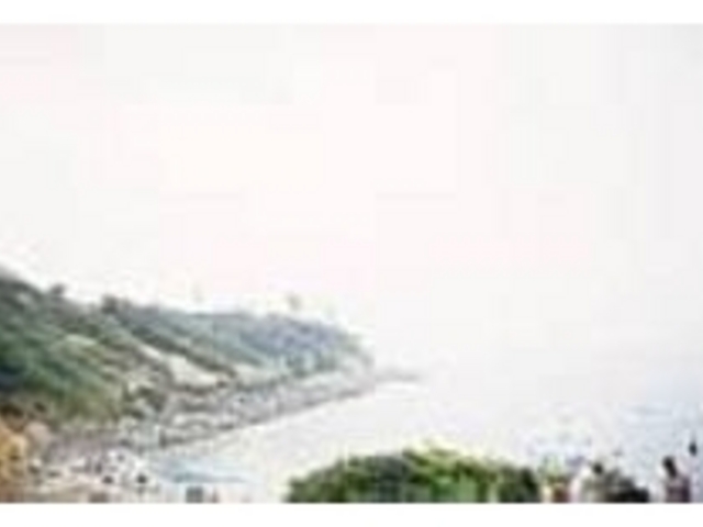 �C�ݐ��̃��C���͋��傪��肾�������R��_�g���V����