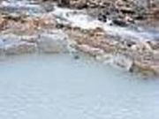 �ܐF�̓��̎ʐ^1