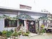 `؊D΂̓X@ނނ̎ʐ^2