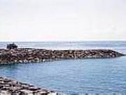 �����C�݂̎ʐ^2