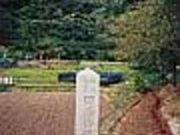 �c�`���̐A���Q���̎ʐ^2