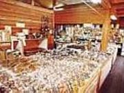 �n���̗��̎ʐ^2