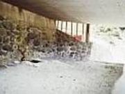 ���ނ����C�̎ʐ^2