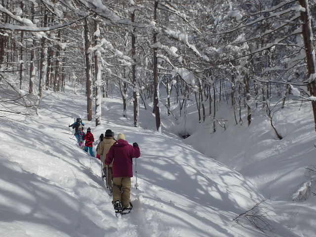 ̌悤_tHXgEH[^[@݂Ȃ݃x[X