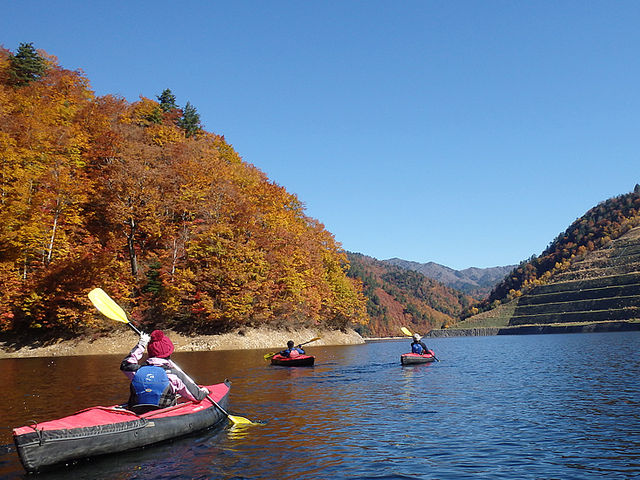 Jk[͂S΂v_tHXgEH[^[@݂Ȃ݃x[X