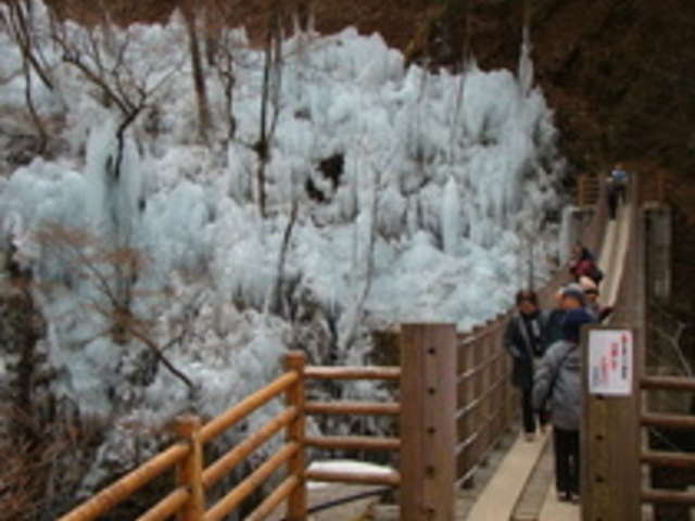 ���m���S�i�X��